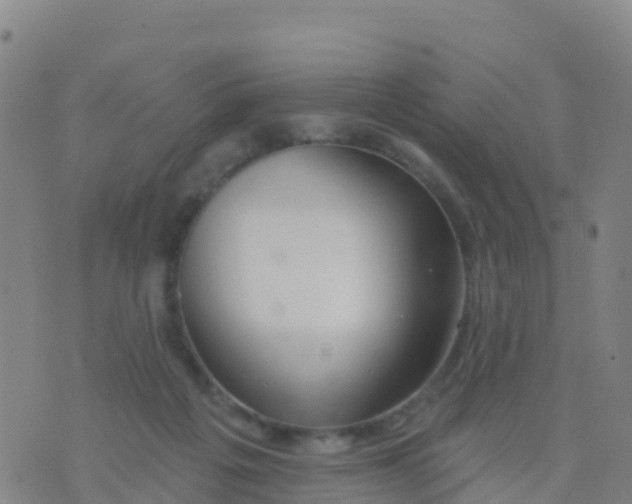 X0000074320217200609082015