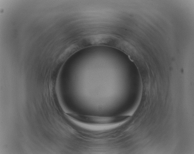 X0000074320219200609082015