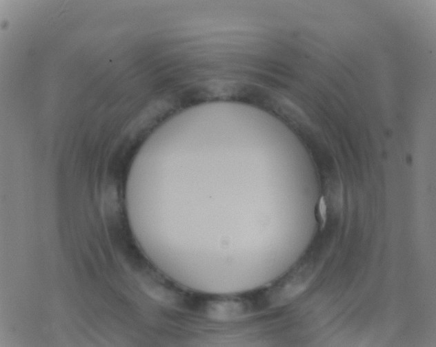 X0000074320220200609082015