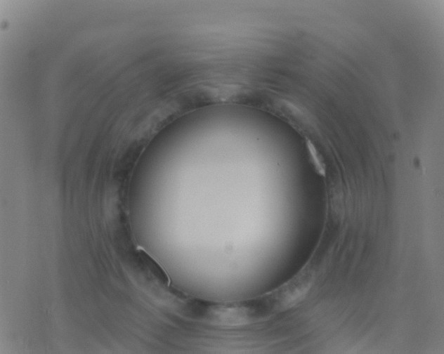 X0000074320221200609082015