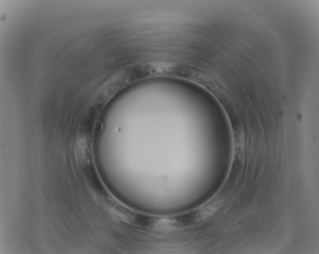 X0000074320222200609082015