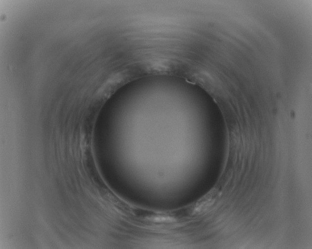 X0000074320223200609082015