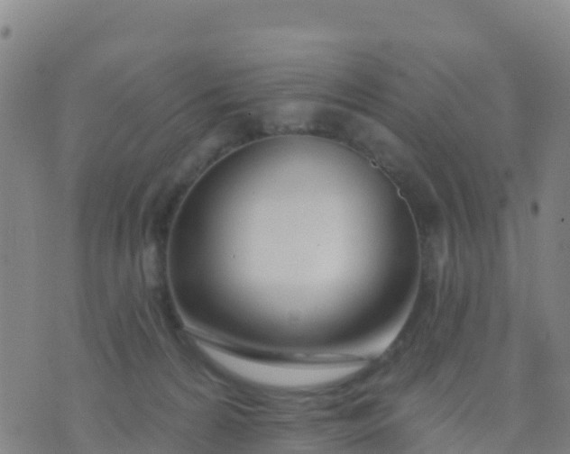 X0000074320224200609082015