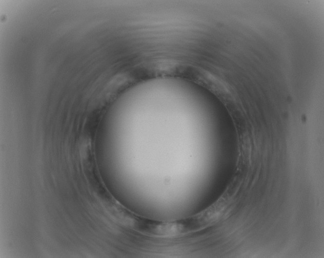 X0000074320225200609082015