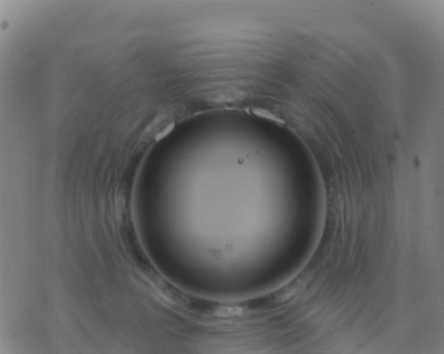 X0000074320227200609082015