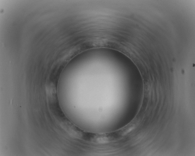 X0000074320228200609082015