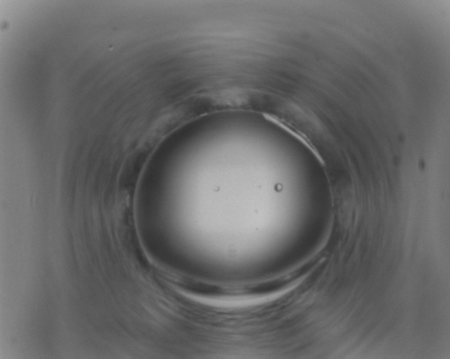 X0000074320229200609082015