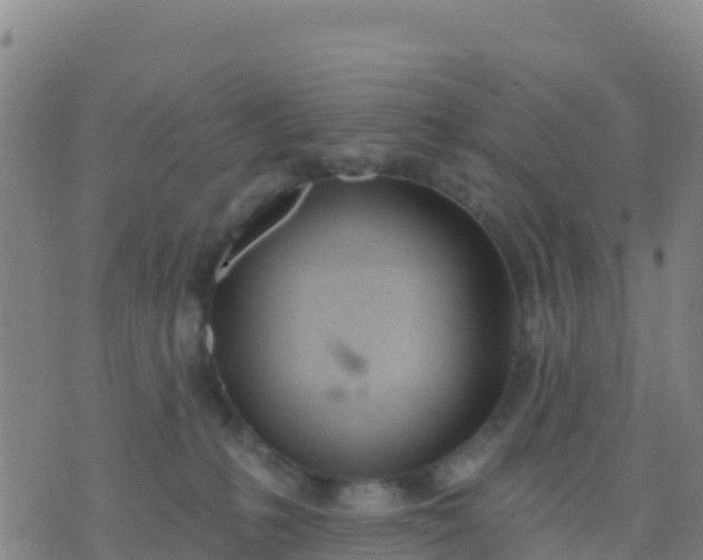 X0000074320231200609082015