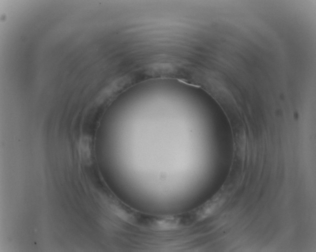 X0000074320232200609082015