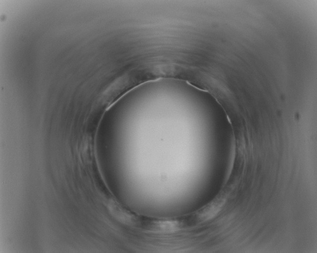 X0000074320233200609082015