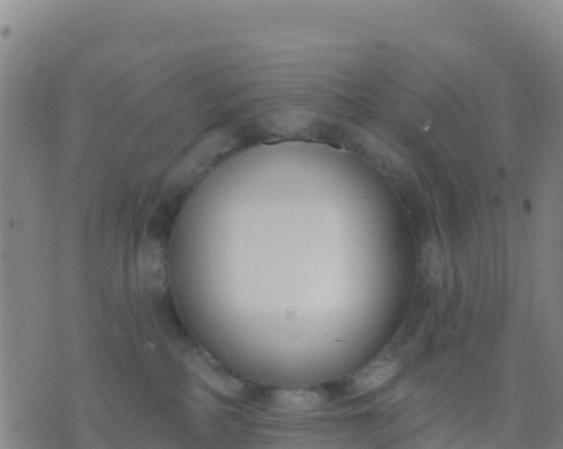 X0000074320234200609082015