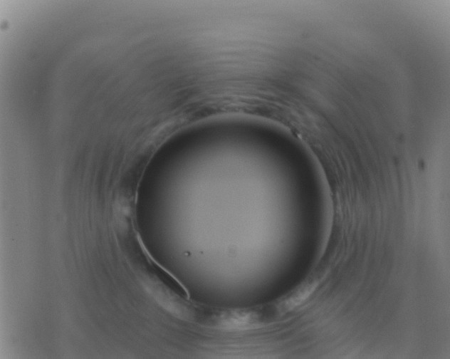 X0000074320235200609082015