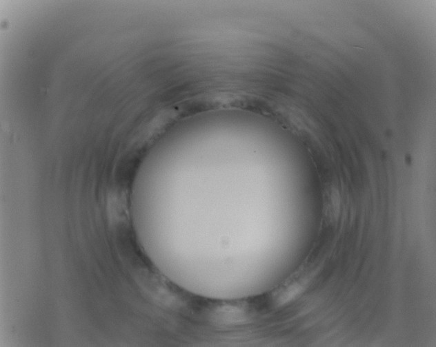 X0000074320236200609082015