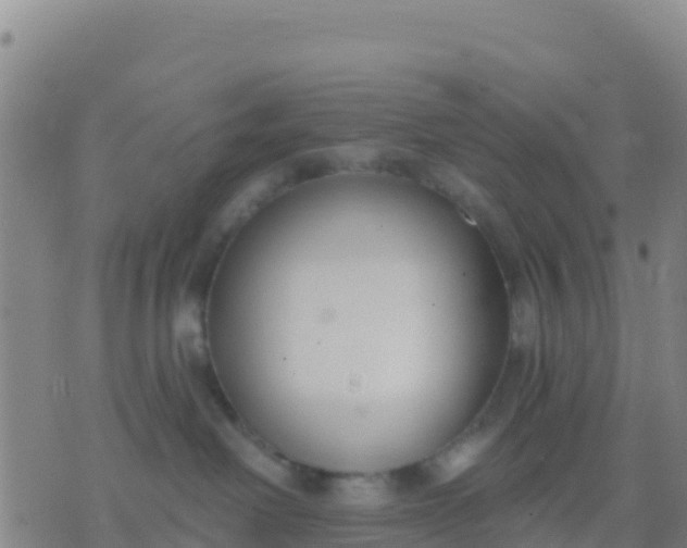 X0000074320238200609082015