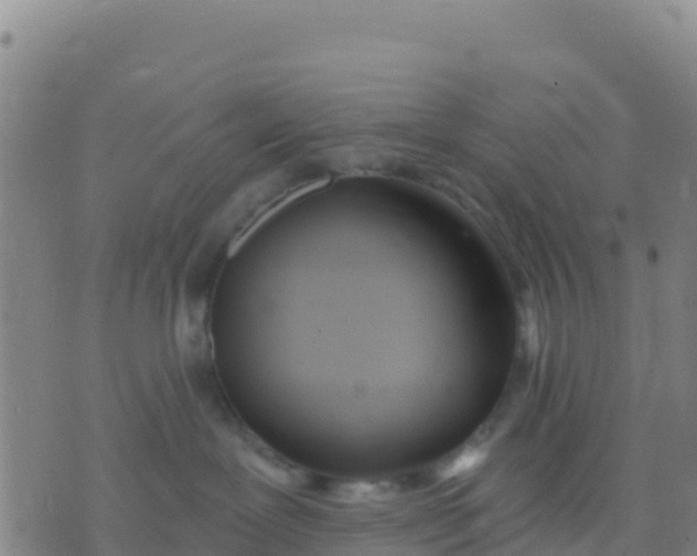 X0000074320239200609082015