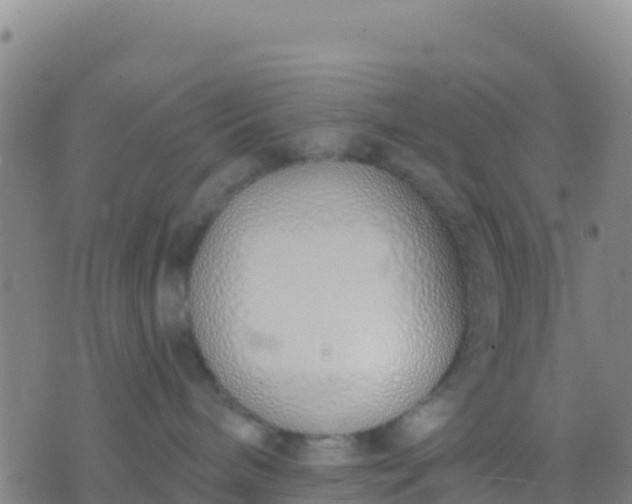 X0000074320240200609082015