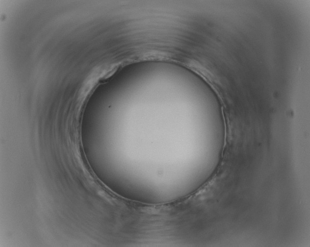 X0000074320241200609082014