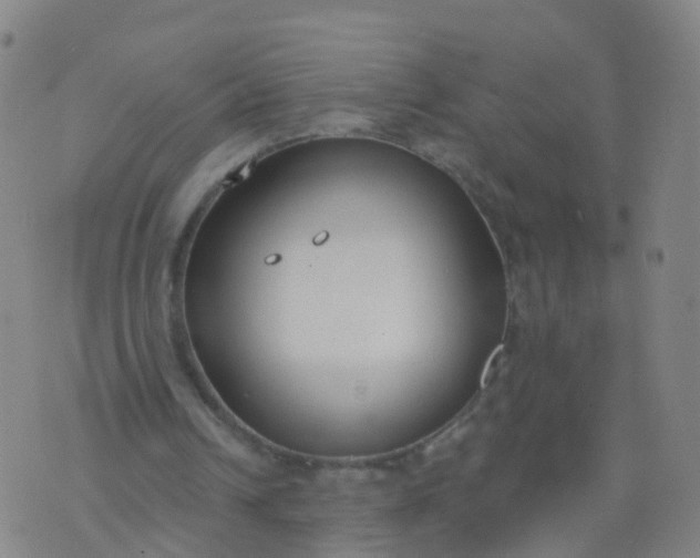 X0000074320242200609082014