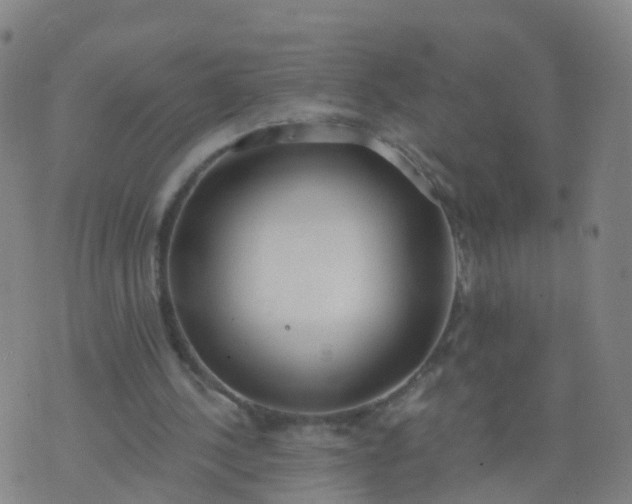 X0000074320244200609082014