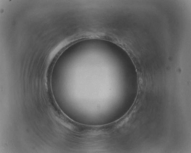 X0000074320246200609082014