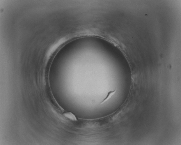 X0000074320248200609082014