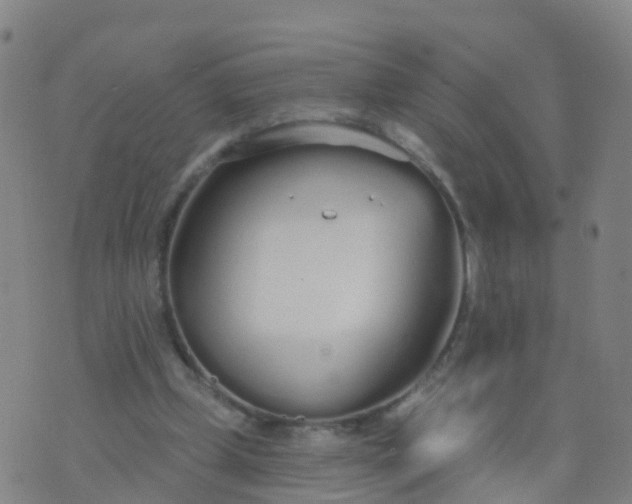 X0000074320249200609082014