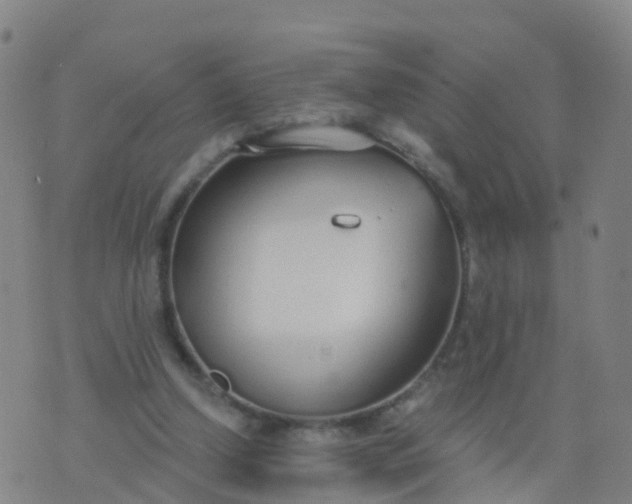 X0000074320250200609082014