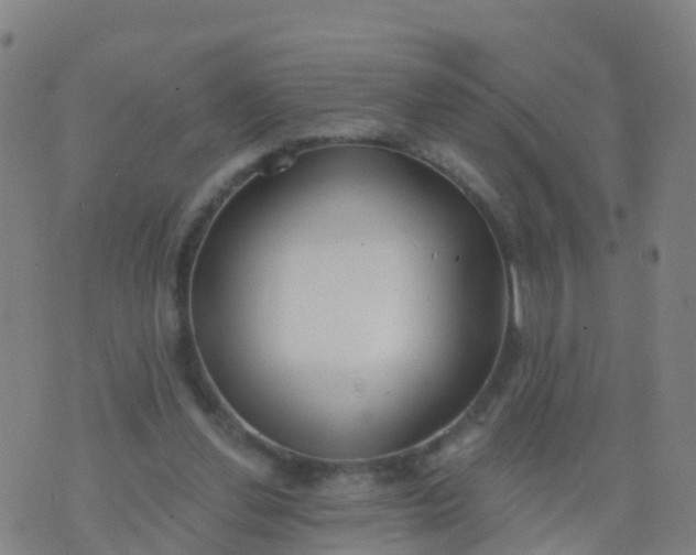 X0000074320252200609082014