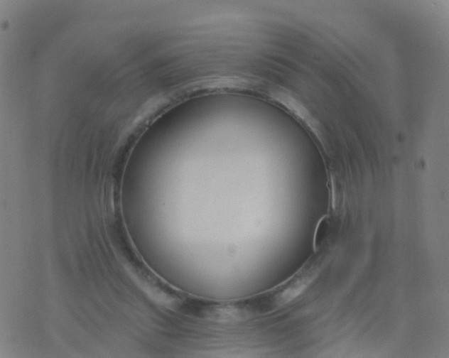 X0000074320253200609082014