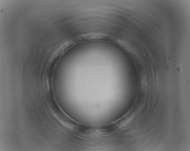 X0000074320254200609082014