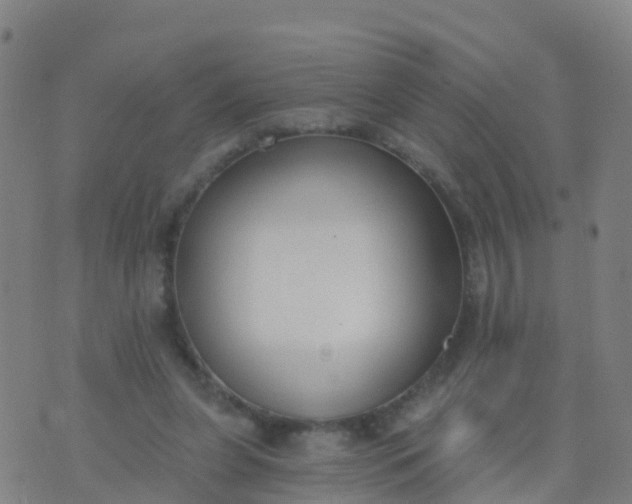 X0000074320255200609082014