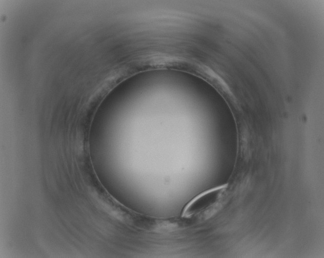 X0000074320257200609082014