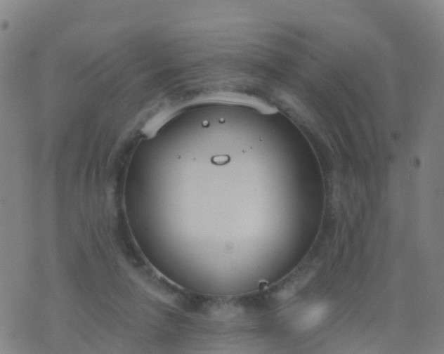 X0000074320258200609082014