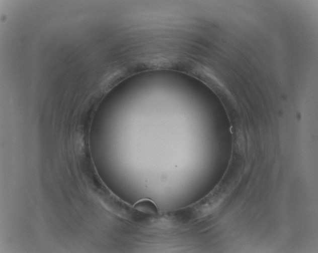 X0000074320259200609082014