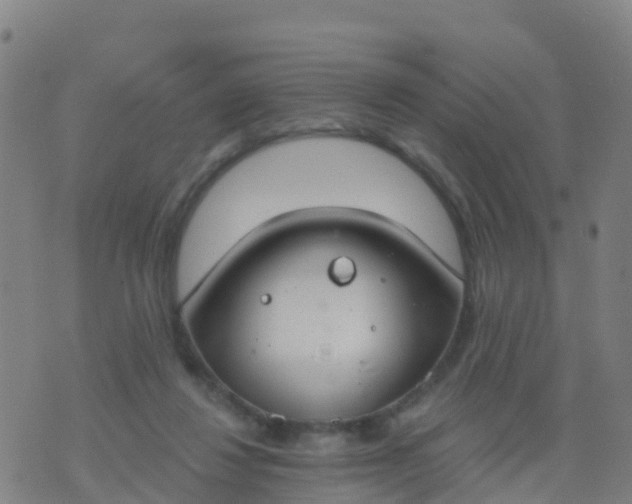 X0000074320260200609082014