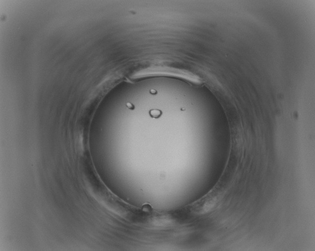 X0000074320262200609082014