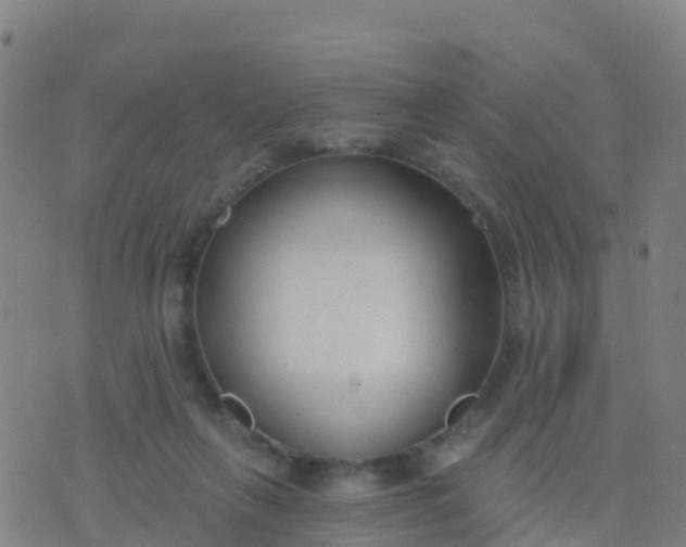 X0000074320263200609082014