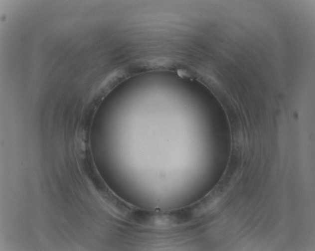 X0000074320264200609082014