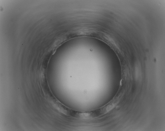 X0000074320265200609082014