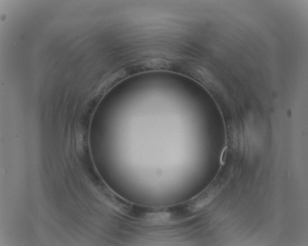 X0000074320266200609082014