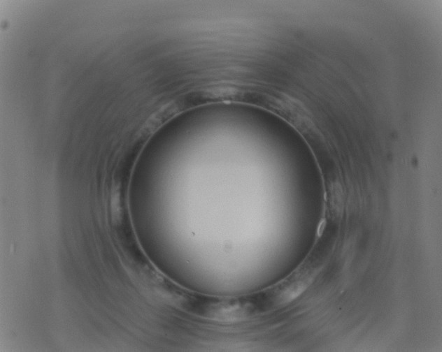 X0000074320267200609082014