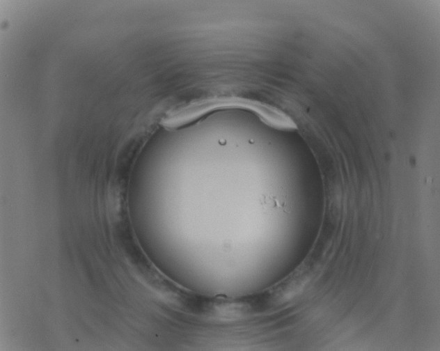 X0000074320268200609082014