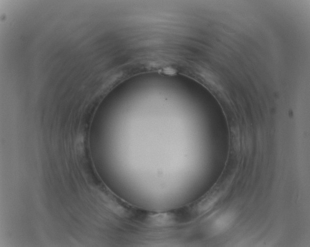 X0000074320269200609082014