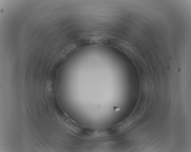 X0000074320270200609082014