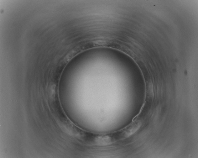 X0000074320271200609082014