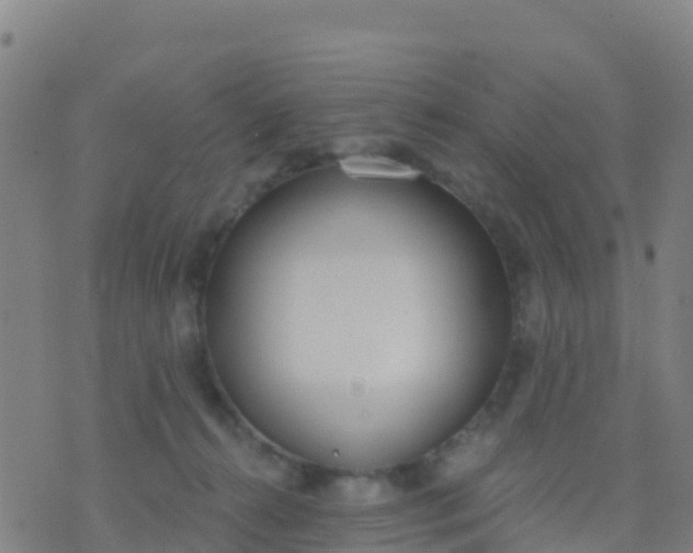 X0000074320272200609082014