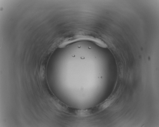 X0000074320273200609082015