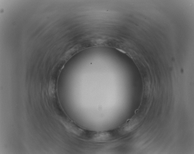 X0000074320274200609082015