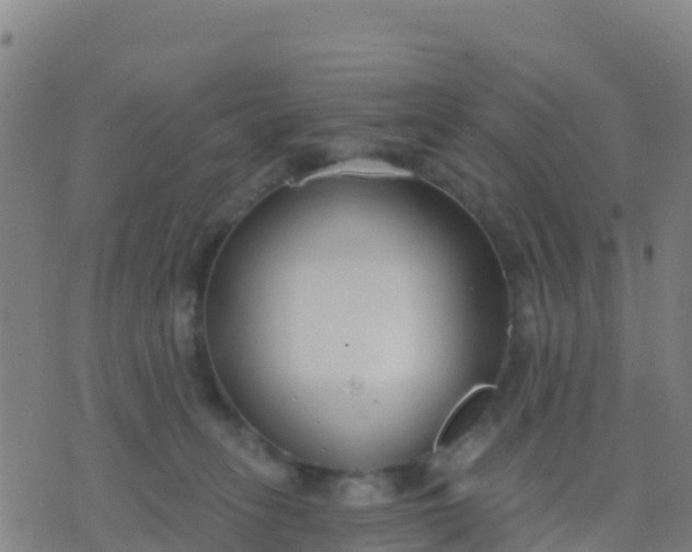 X0000074320275200609082015