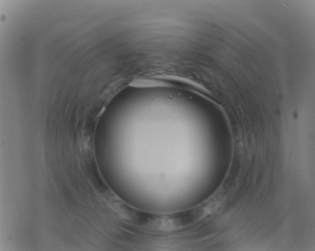 X0000074320276200609082015